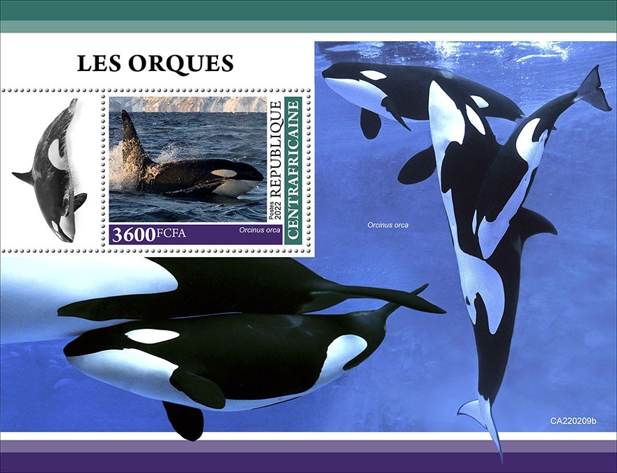 Orcas