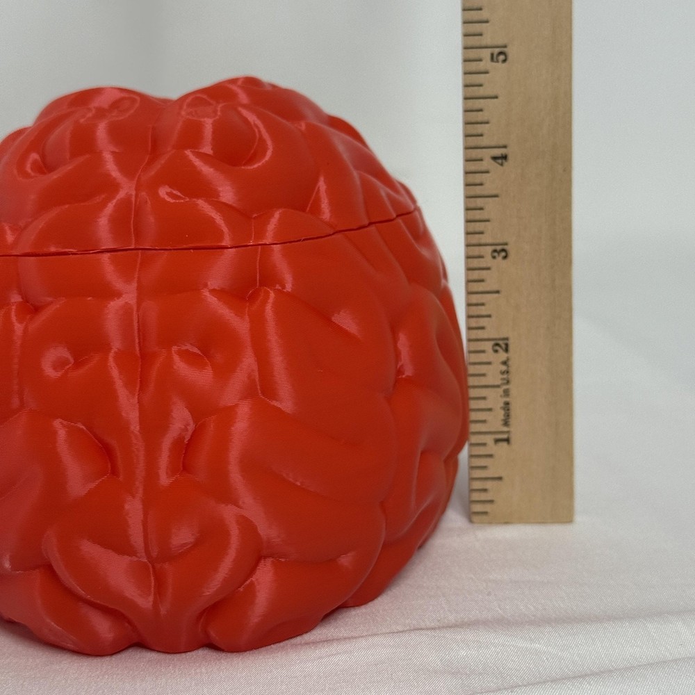 Brain Shaped Storage Box Red Plastic Container Jar Halloween Decor Gift