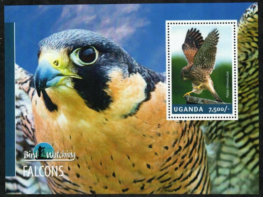 Uganda Stamp 2123  - Falcons