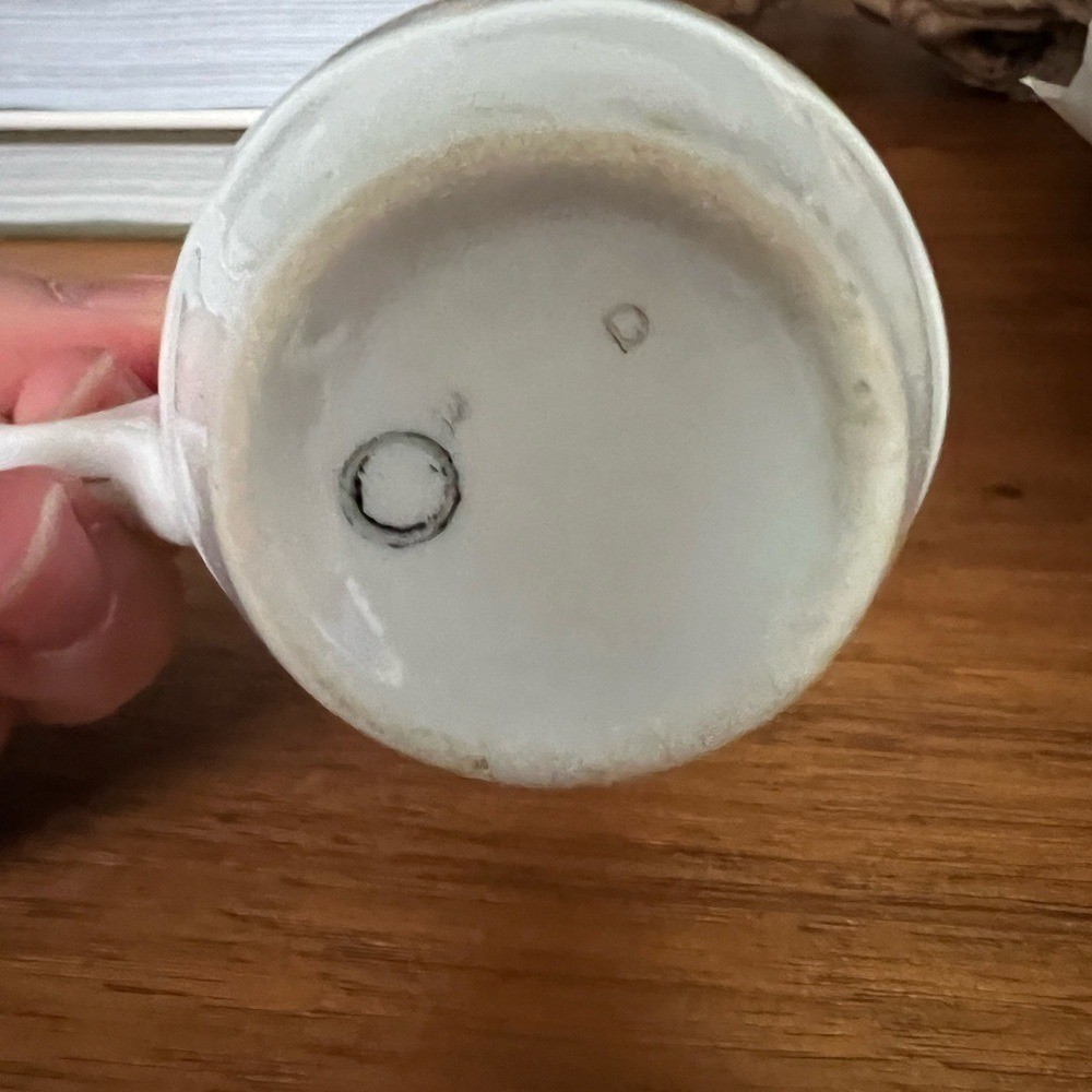 Fairmont Hotels Espresso Ceramic Cup