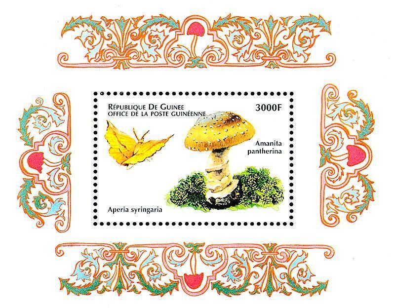 👉 GUINEA = MUSHROOM & BUTTERFLY S/S MNH