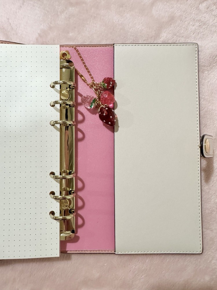 PINK INSERT / GOLD RINGS | COACH Notebook Binder Transition Insert