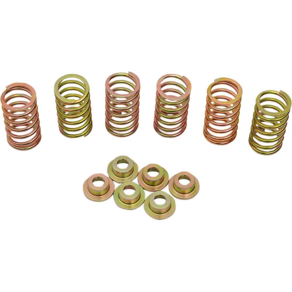 Barnett Clutch Spring Kit | 505-44-06090
