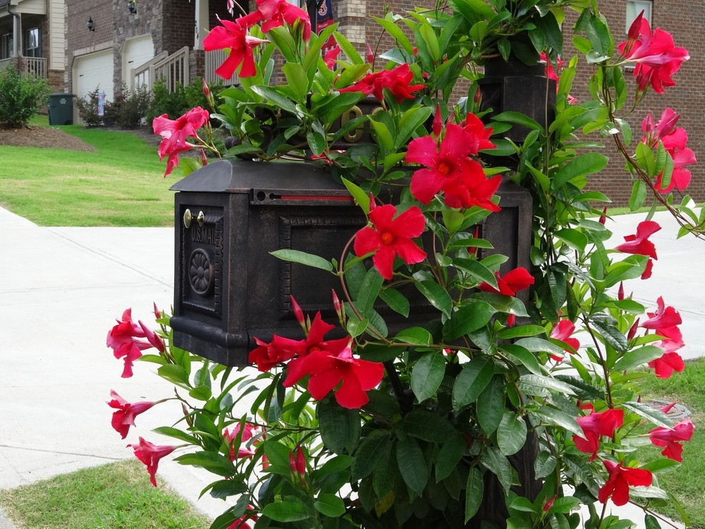 Better Box Mailboxes - BRONZE - Classic Decorative Cast Aluminum Mail Box BB-R
