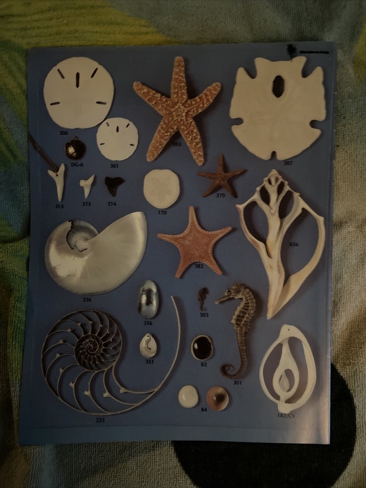 Benjane Arts Catalog