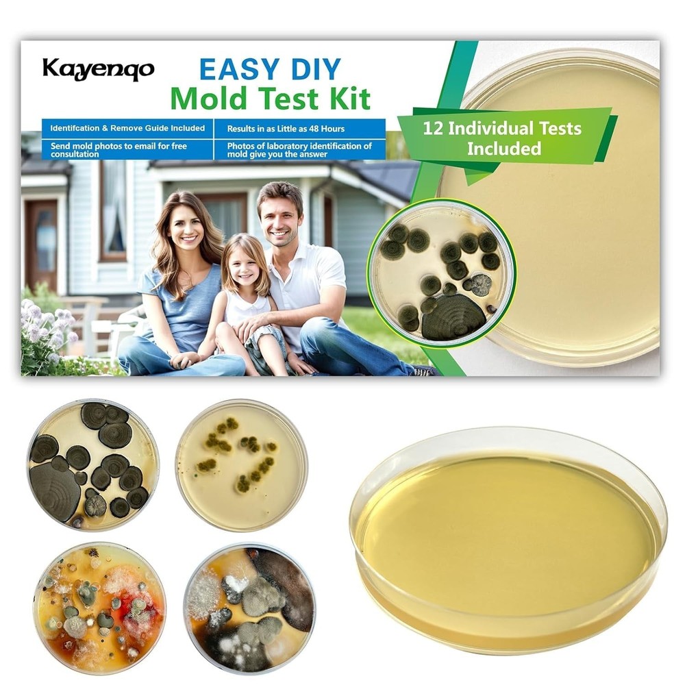 Home Mold Kit - 12 Detection Tests, Mold Detector