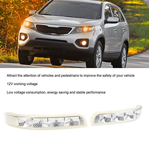1 Pair 12V Car Rear View Mirror Side Turn Light ABS Low Voltage Consumption