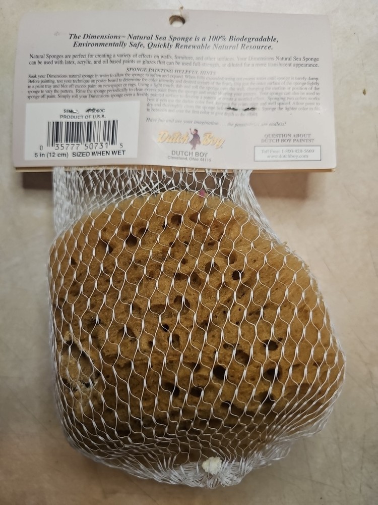 5 Dutch Boy Dimensions Natural Sea Sponge