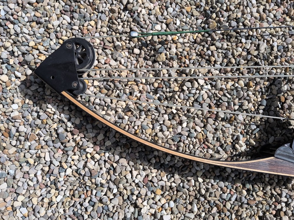 Vintage Bear Polar LTD 51" Compound Bow 39" String Length