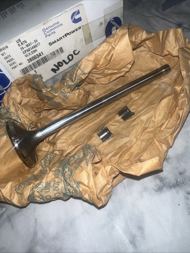 Cummins Exhaust Valve - 3800341