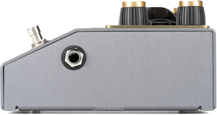 Beetronics FX Pollinator Hazee Delay Pedal