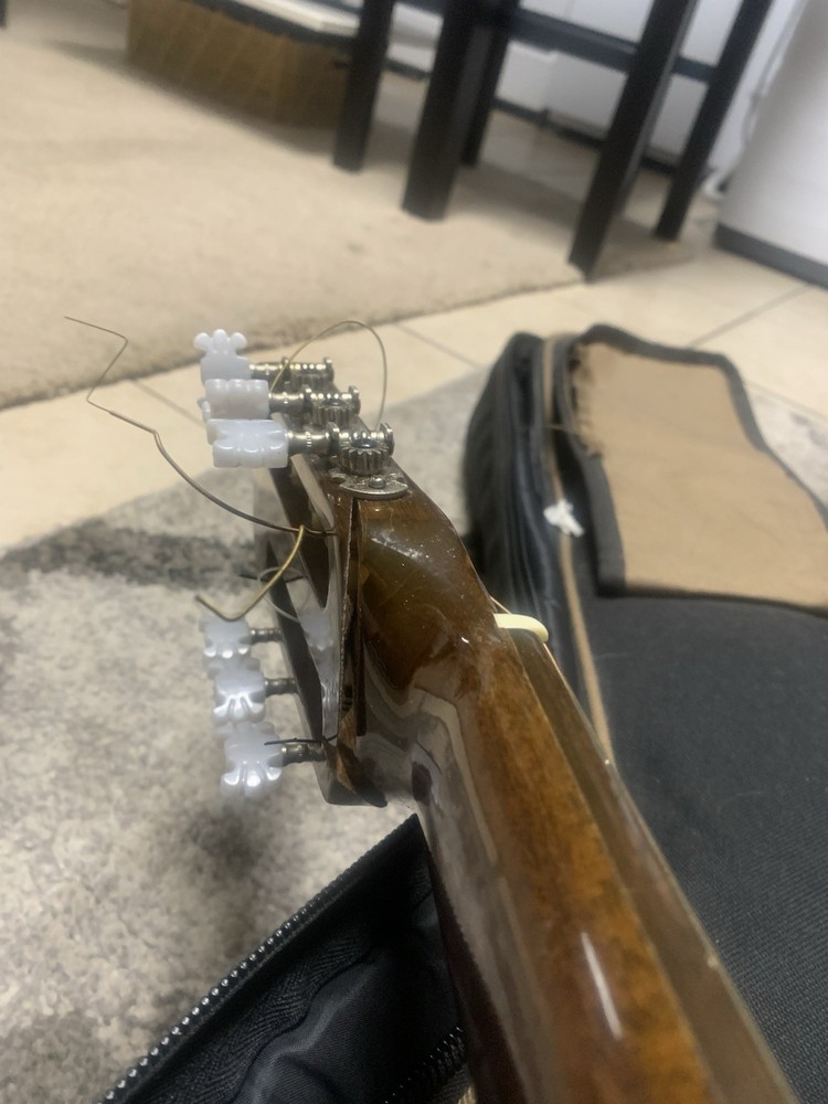 Hondo Model H321 Classical Guitar