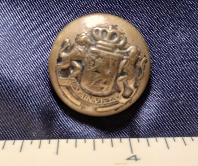 WW2 Dutch Netherlands Officer's Button