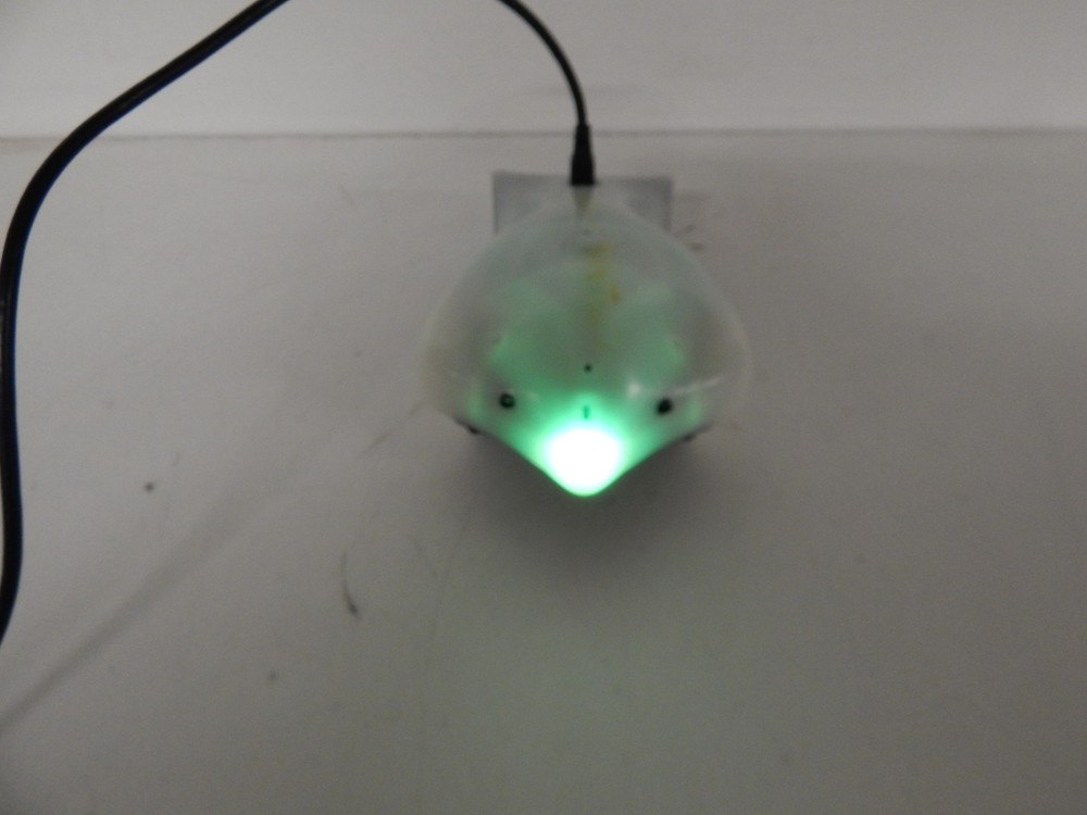 FINCH PROGRAMMABLE ROBOT (SQS120)