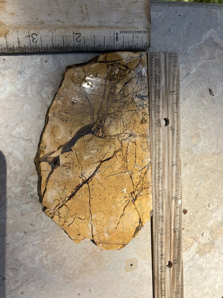 Brecciated Gold Jasper Slab