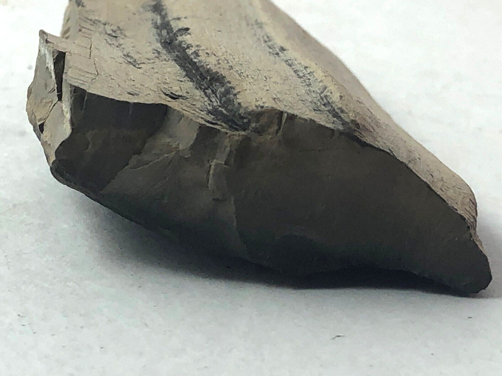 Petrified Wood 2.5 oz.