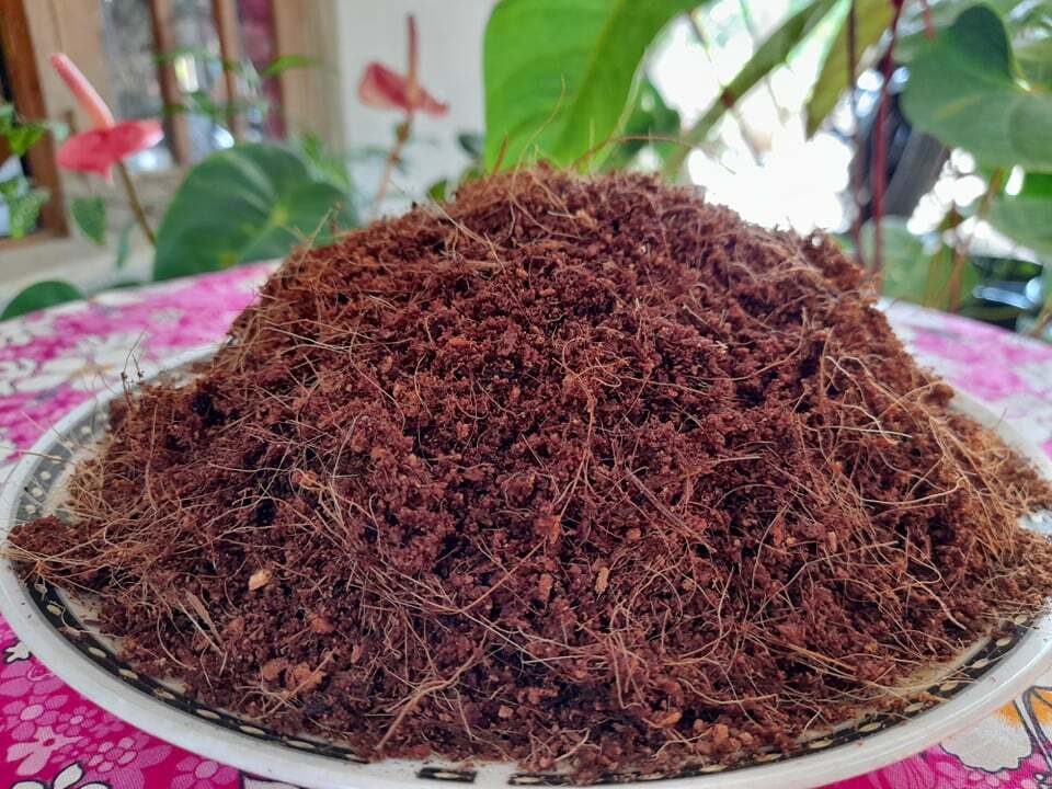 Coconut Coir Coco Peat Organic Compost Soil Hydroponics Growing media