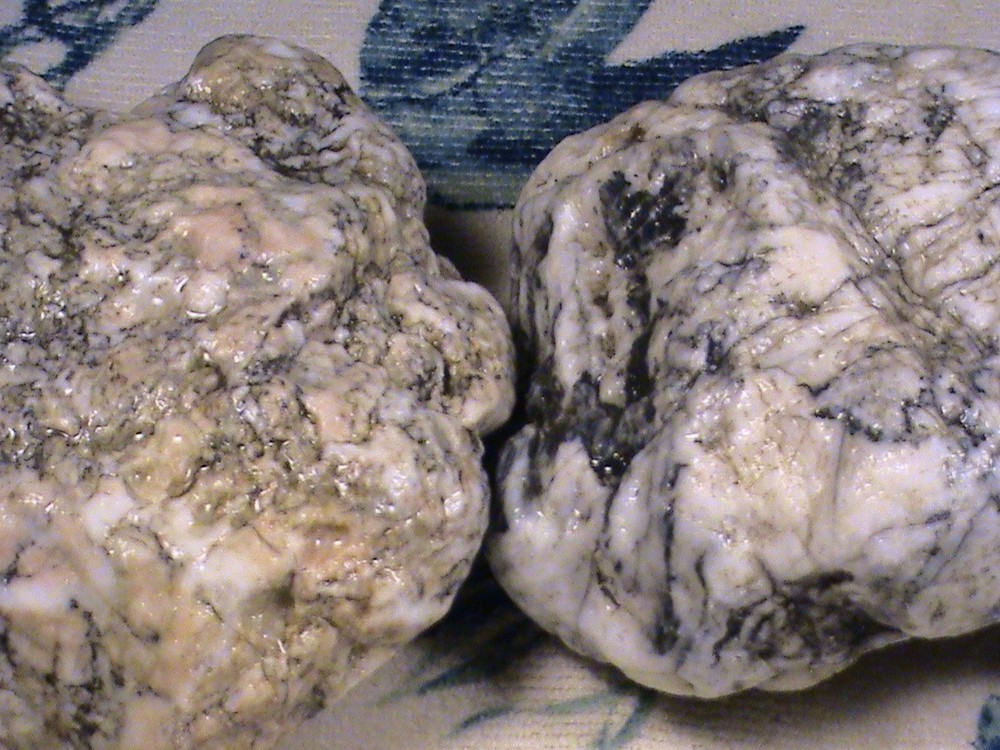 Mixed Chalcedony Jasper Agate Lot, Rough Lapidary Specimens, 5 LBS, 2 OZ, #400