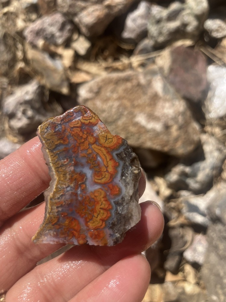 Wingate Agate Slab