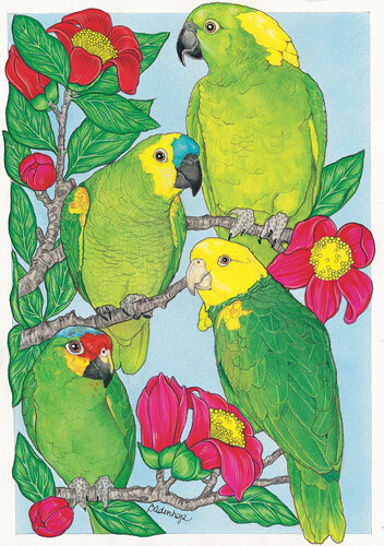 Amazon Parrot Birthday Card 5 x 7 with Envelope