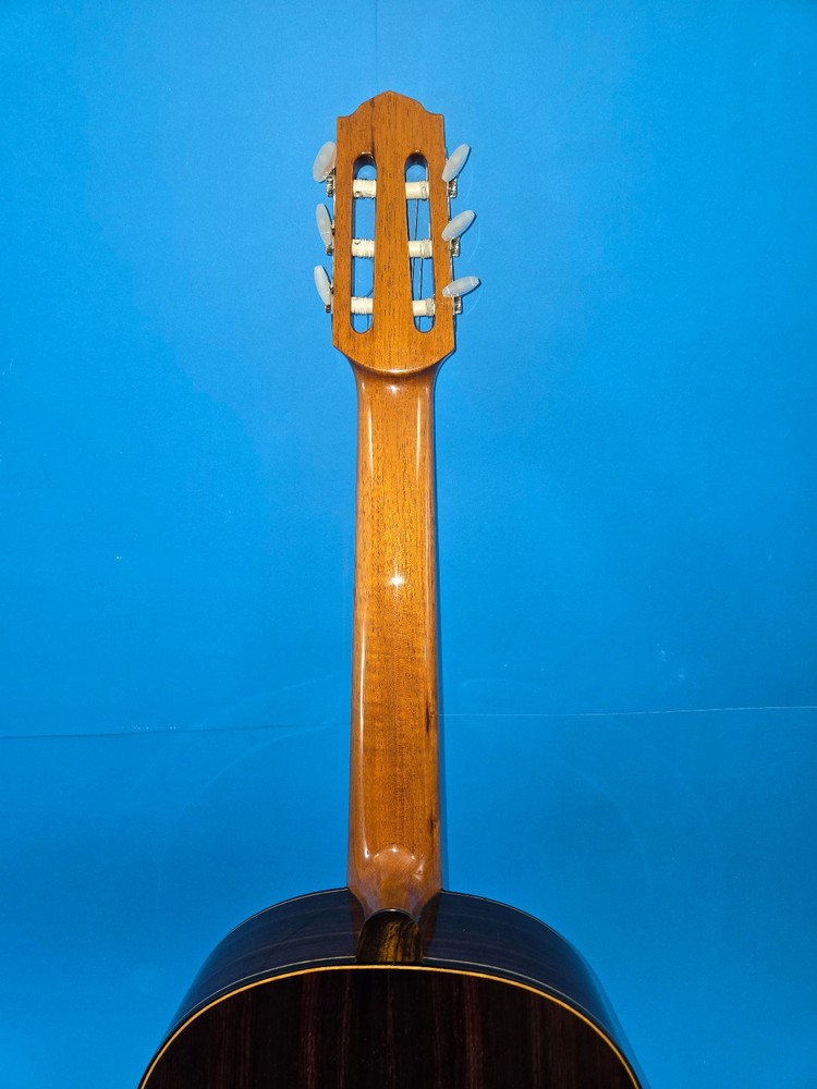 GeronimoGarcia Concert Classical Guitar