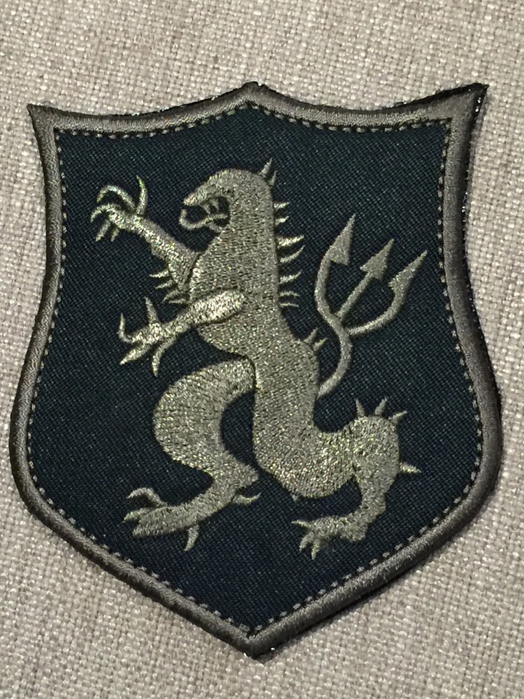 Navy SEAL TEAM DEVGRU GOLD SQUADRON ST6 BLK/GREY Armor Shield Lion Embroid Patch