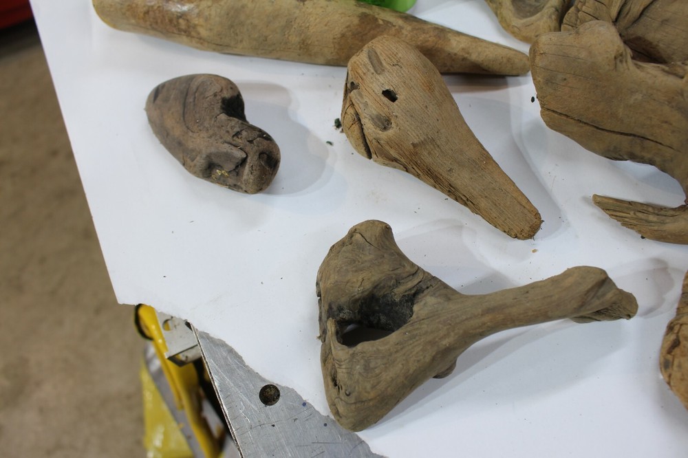 Pacific Ocean Driftwood Assortment various, crafts, hobby,