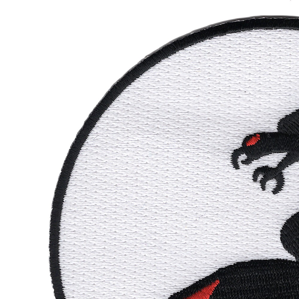 VF-96 Patch Fighting Falcons
