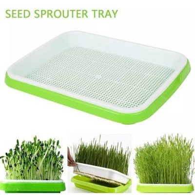 1 Pcs Green Plastic Sprouting Tray Sprouter Microgreens 2 Layer Hydroponic Tray