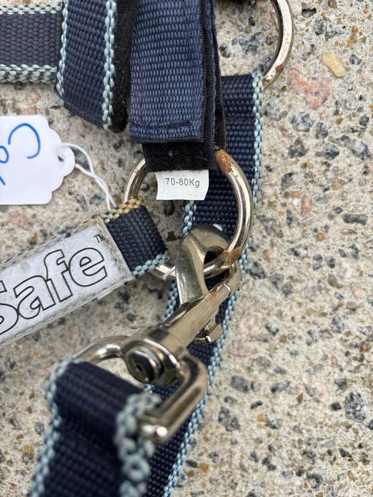 Field Safe Cob Size Halter - Breakaway/Reflective