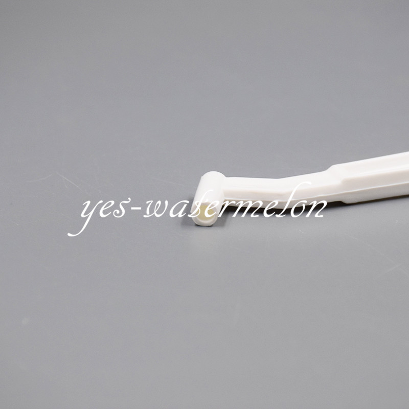 300 Pcs Dental Micro Brush Tips Composite Black + 3 Pcs Applicator Brush Handle