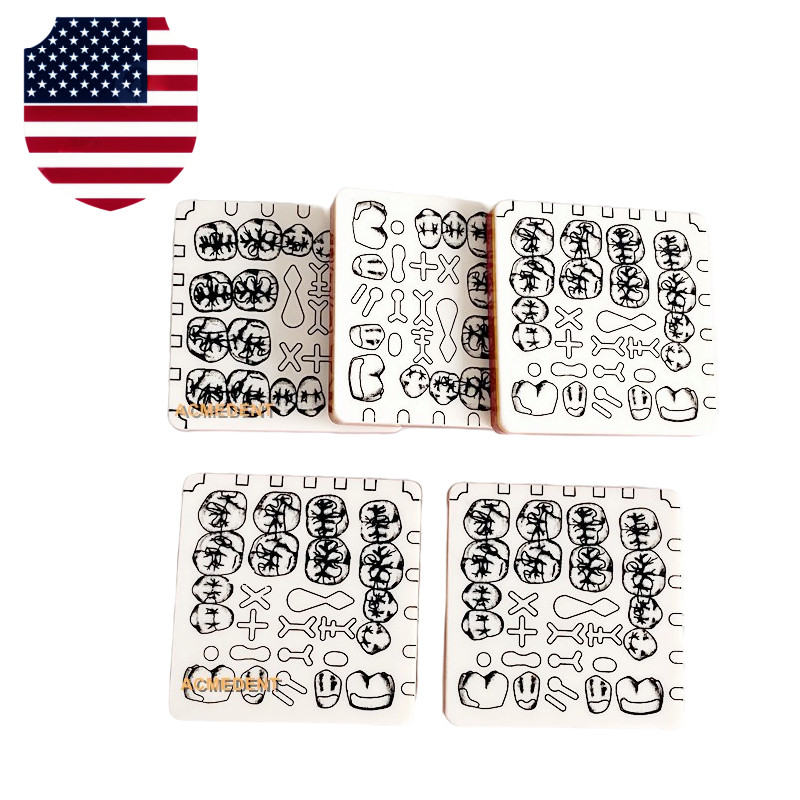 Dental Cavity Tooth Preparation Blocks Caries Remove Model Student Trainer only1