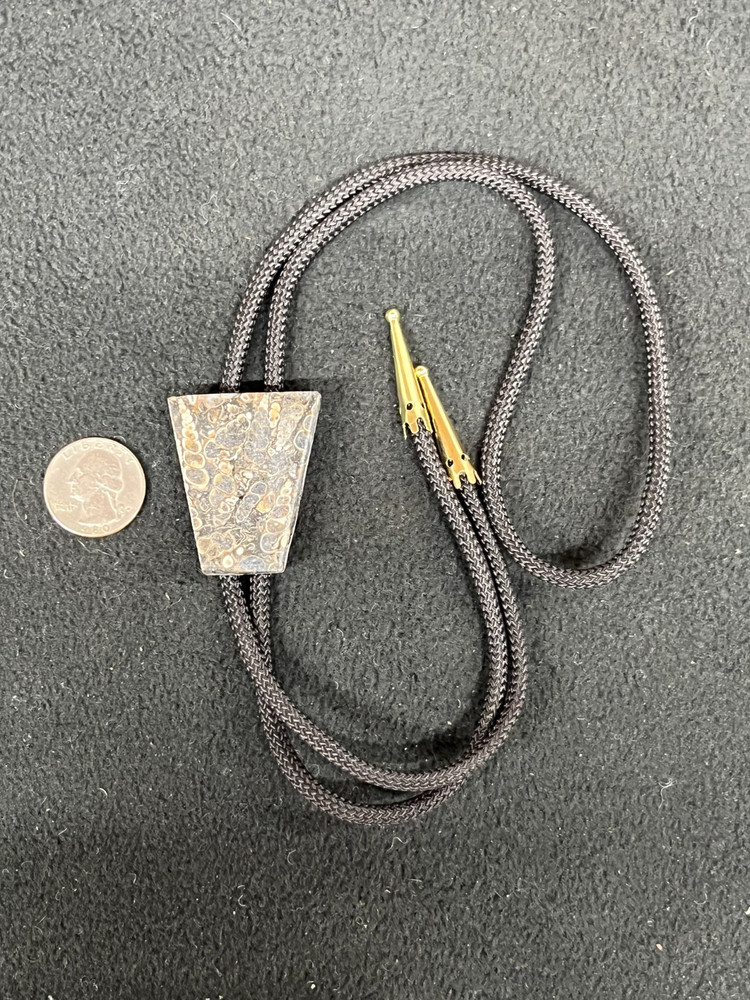 Turritella Agate Western Bolo Tie