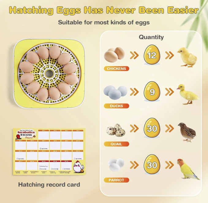 12 Egg Incubators for Hatching Eggs with Automatic Egg Turning and Humidity-FREE