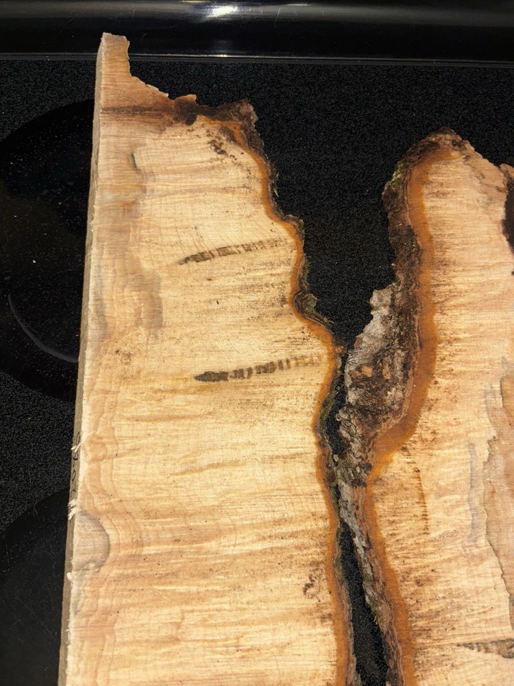 Curly Maple Slabs - 2 Pc Craft Bundle #2085
