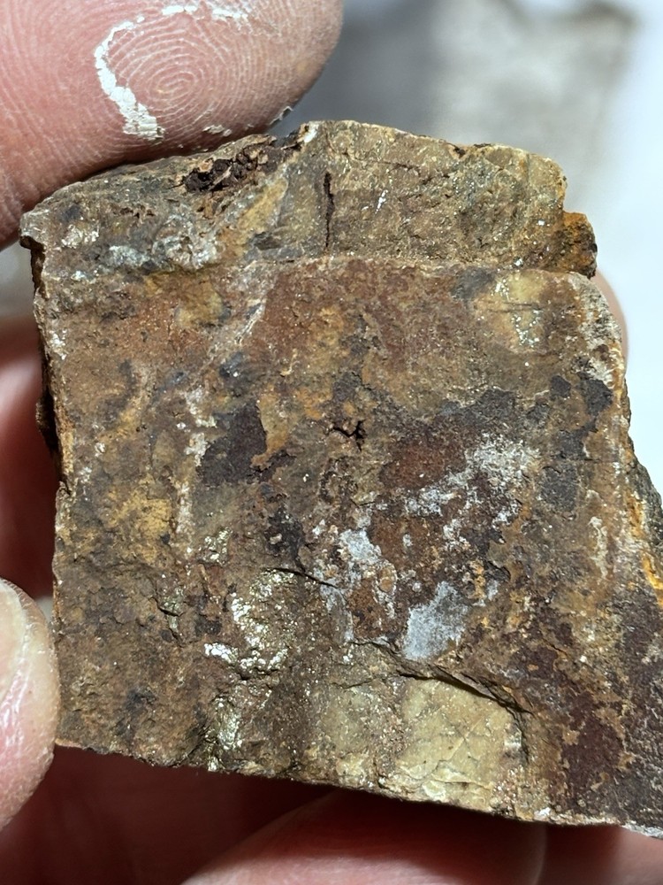 arizona gold and silver ore