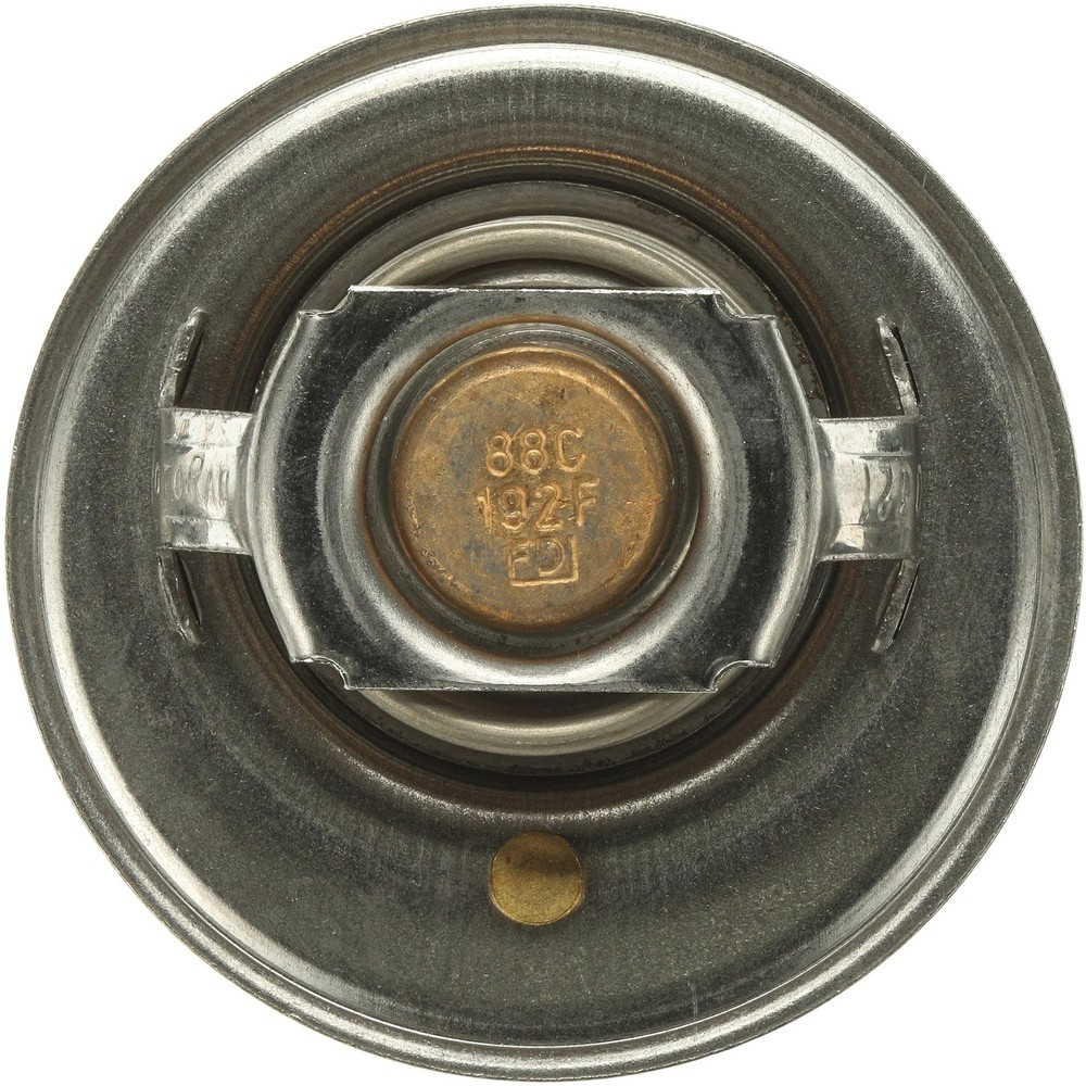 33489 Thermostat