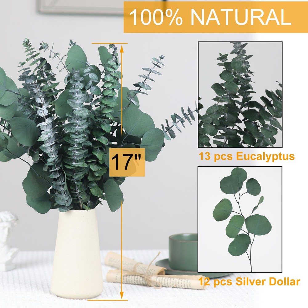 25 Pcs Preserved Dried Eucalyptus Stems & Silver Dollar Leaves Bundle, Natura...