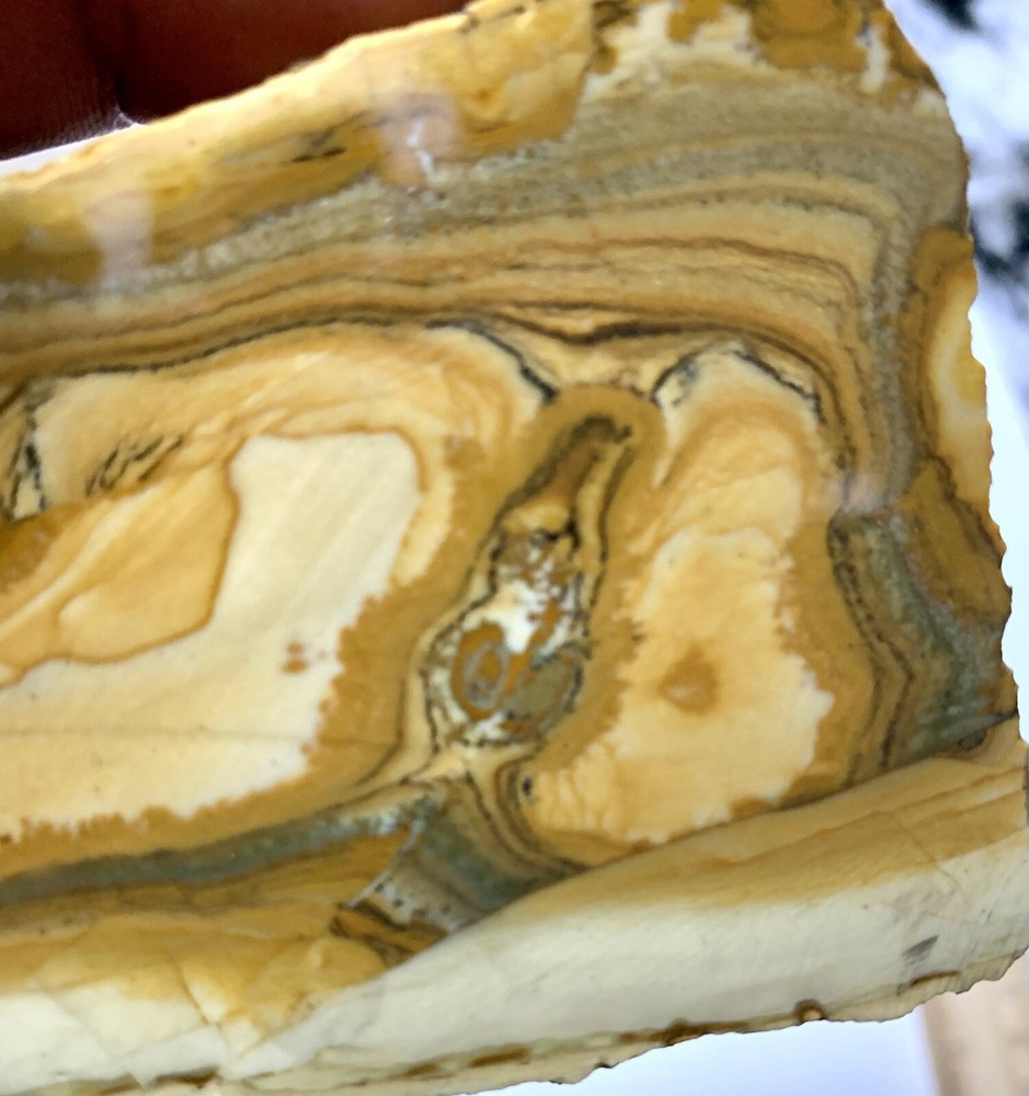 owyhee picture jasper Slab