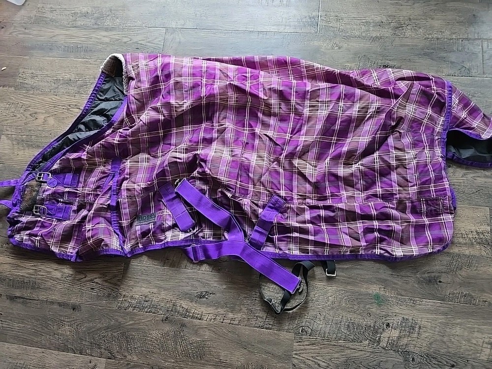 Horse Blanket 63