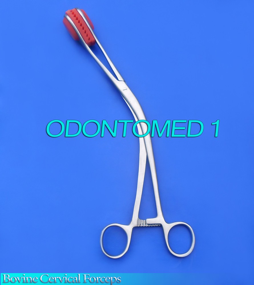 Bovine Cervical Forceps 12" Veterinary Instruments NEW