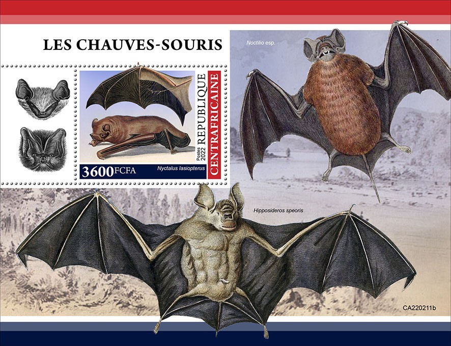 Bats