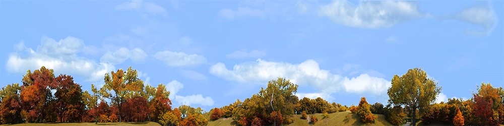 Model Railroad Train Backdrops - Treeline On Burm Left In Autumn Continuous