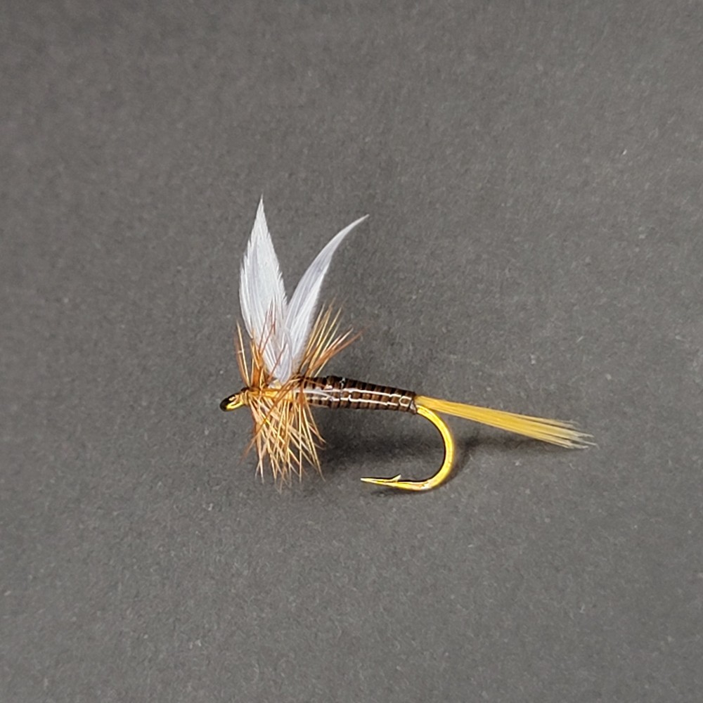 Ginger Quill | Size #14
