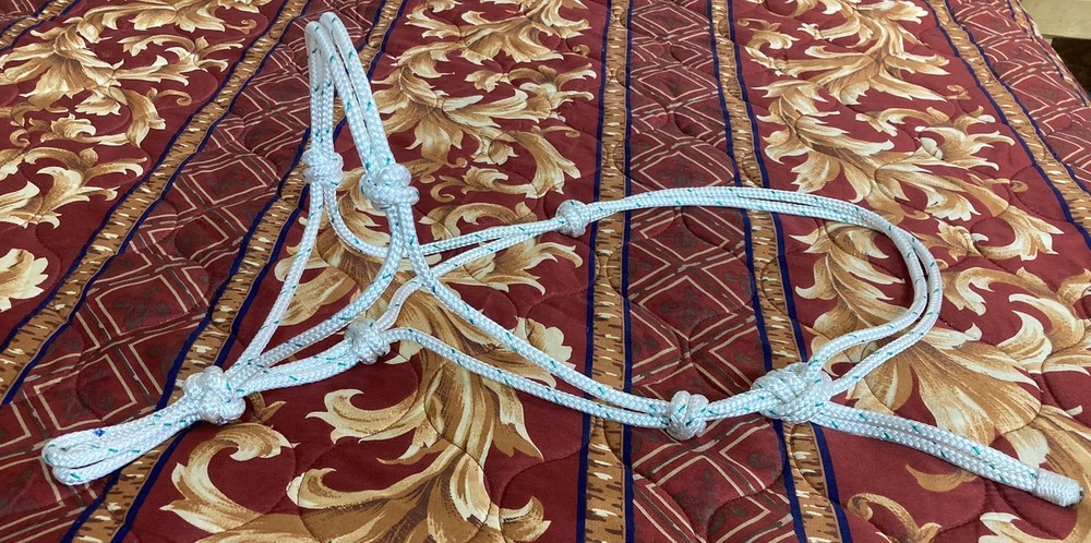 Rope Halter & 8ft Lead, Average Horse