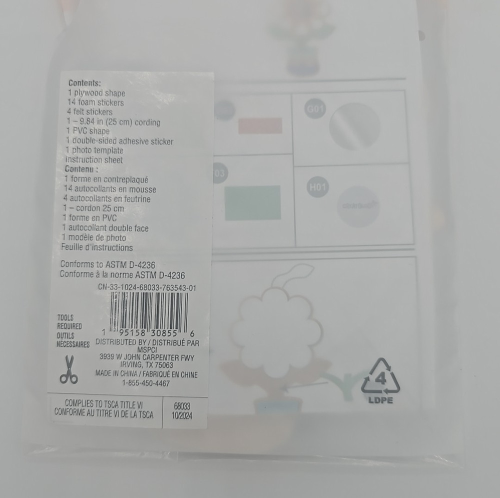 Creatology Flower Frame Craft Kit