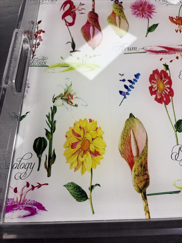 Nicolette Meyer Botanical White