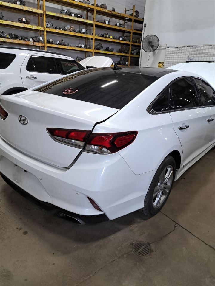2018 Sonata Jack Sku#4428593