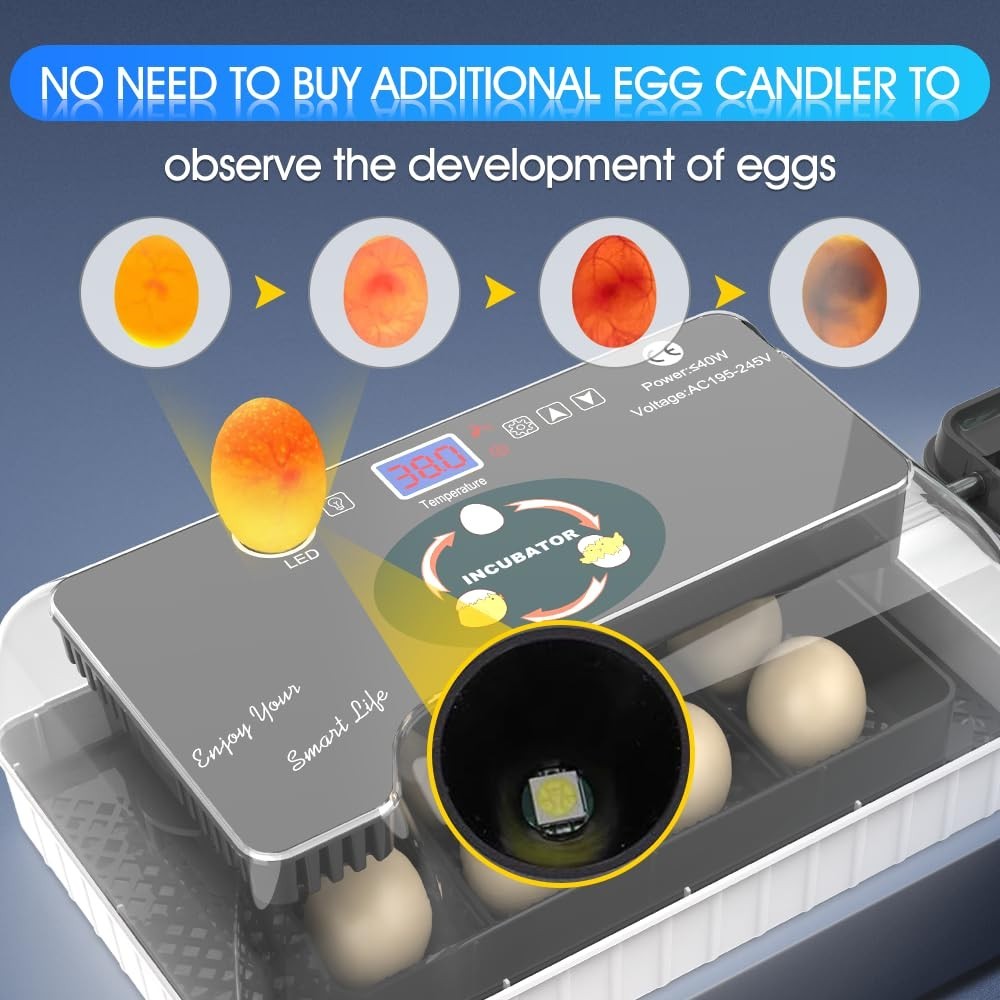12-24 Automatic Egg Incubators for Hatching Eggs Whith Smart Temperature Control