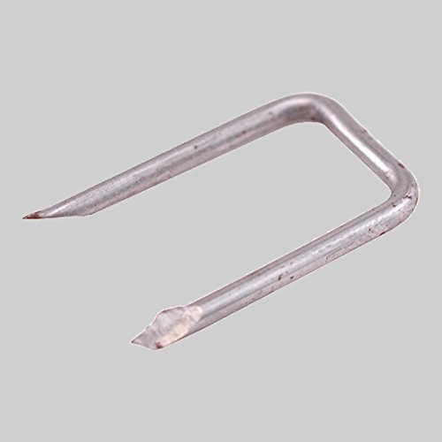 DiversiTech PI309 Staples 1in L, 1/2in W